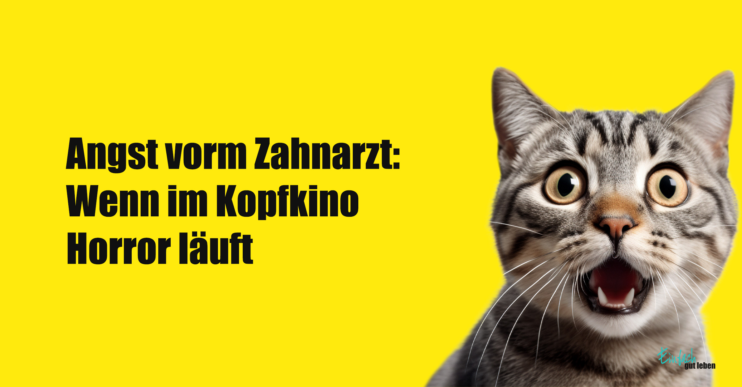 Angst-vorm-Zahnarzt Erschrockene Katze mit weit aufgerissenen Augen vor gelbem Hintergrund, daneben der Text: „Angst vorm Zahnarzt: Wenn im Kopfkino Horror läuft“.